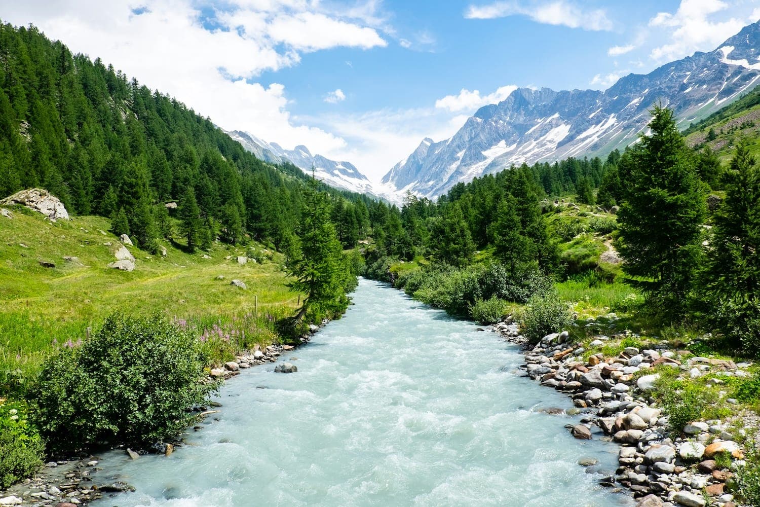 Swiss landscape